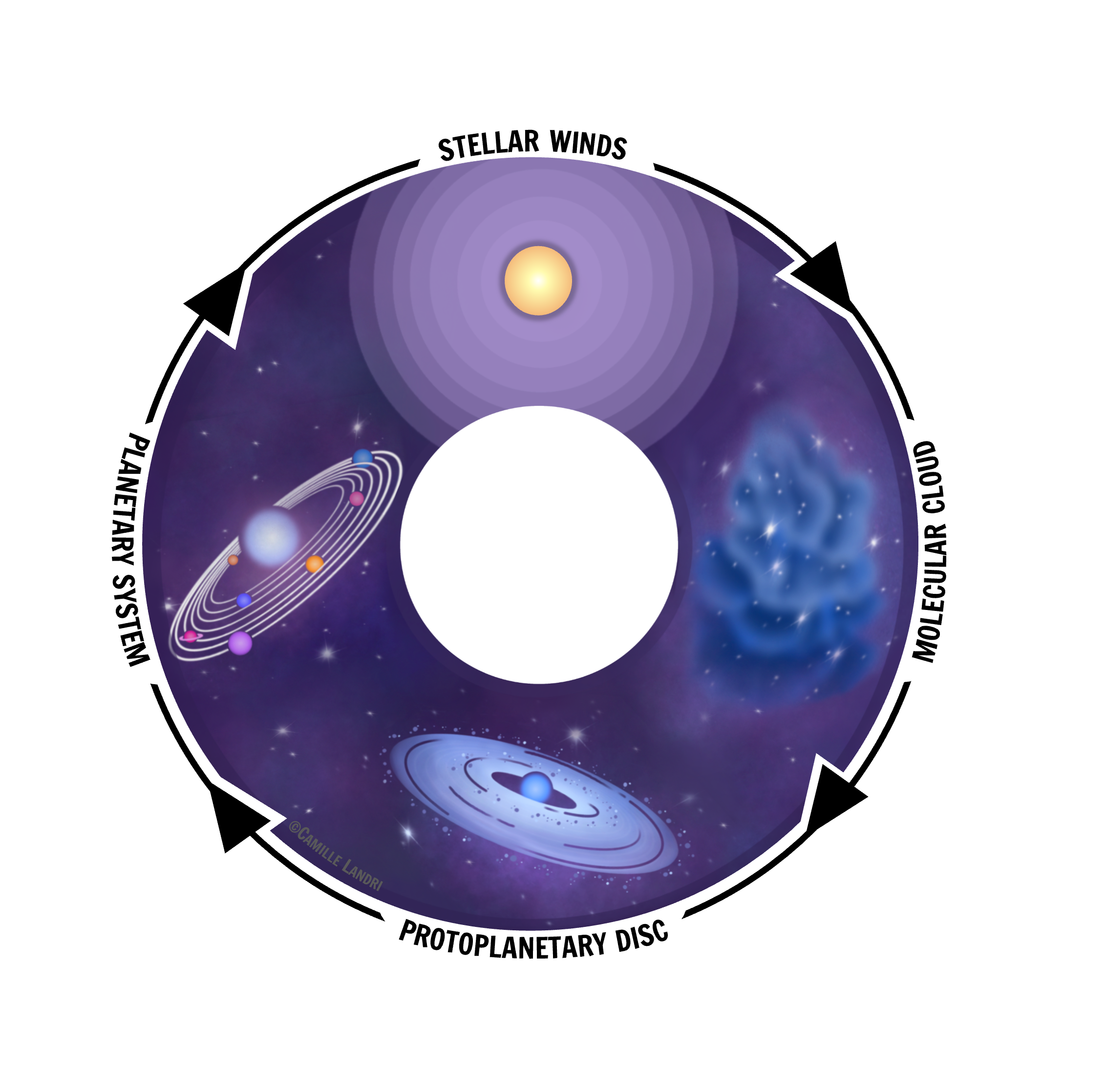 Lifecycle of stars, stellar winds seed molecular clouds, which then collapse into protostars and form of planetary systems.